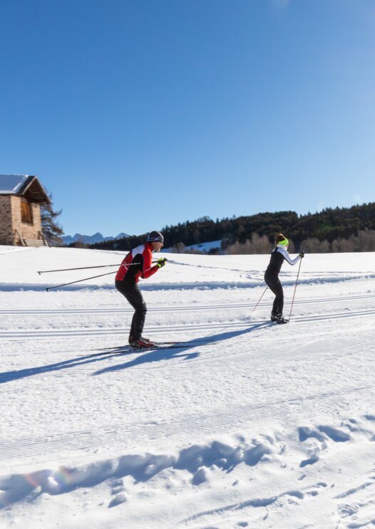 sciatore di fondo pista inverno | © Ph. G. Pichler