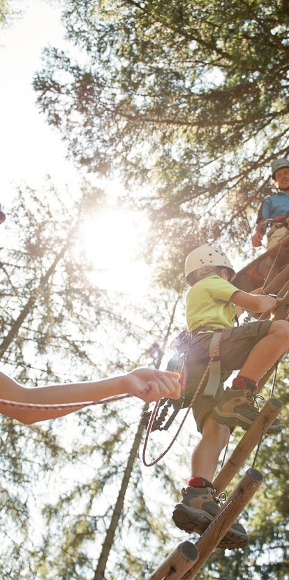 Family Climbing Trees High Ropes Course | © Alex Filz