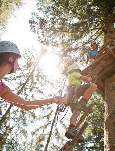 Arrampicata sugli alberi per famiglie | © Alex Filz