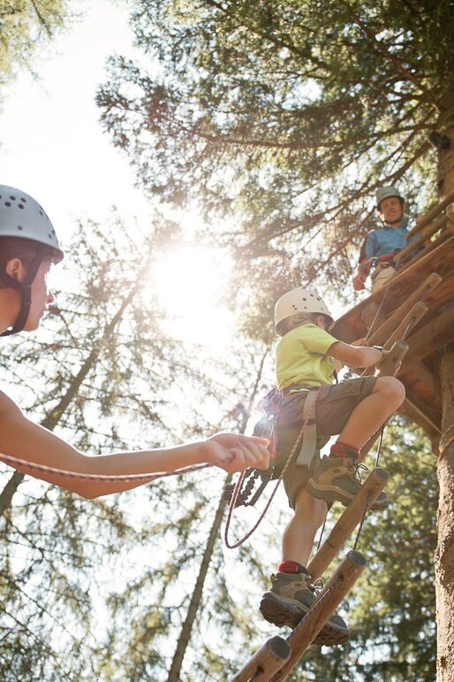 Arrampicata sugli alberi per famiglie | © Alex Filz