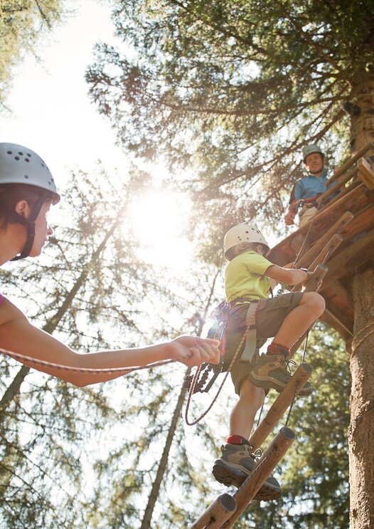 Arrampicata sugli alberi per famiglie | © Alex Filz