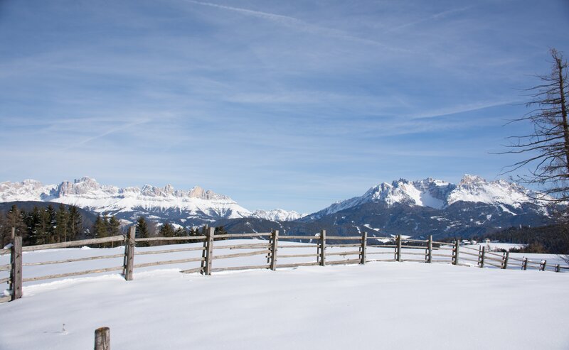 Rosengarten und Latemar im Winter | © Alexandra Näckler