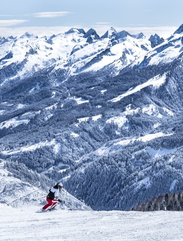 Skifahrerin Panorama Berge Wald Winter | © Ph. Paolo Codeluppi