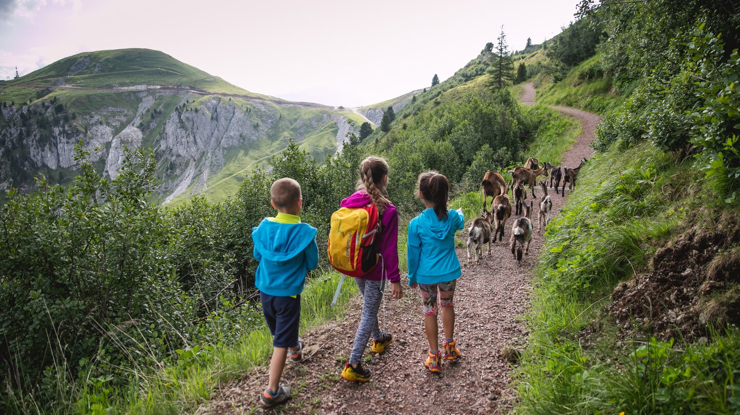 bambini capre natura montagne sentiero | © Ph. Pampeago