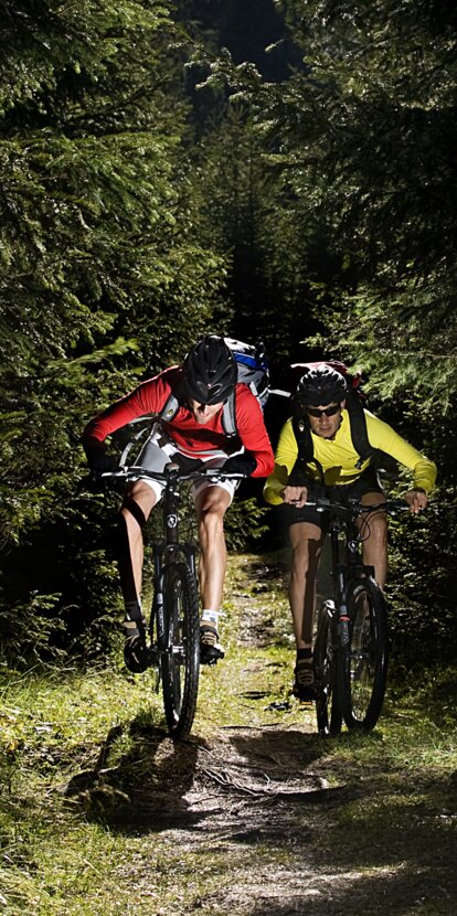 Männer fahrradfahren Wald Natur | © Ph. Paolo Codeluppi