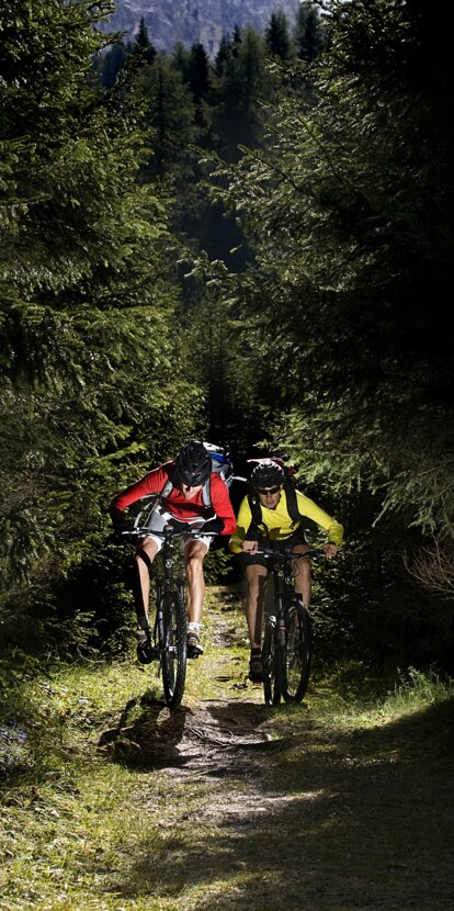 men bycicling forest nature | © Ph. Paolo Codeluppi