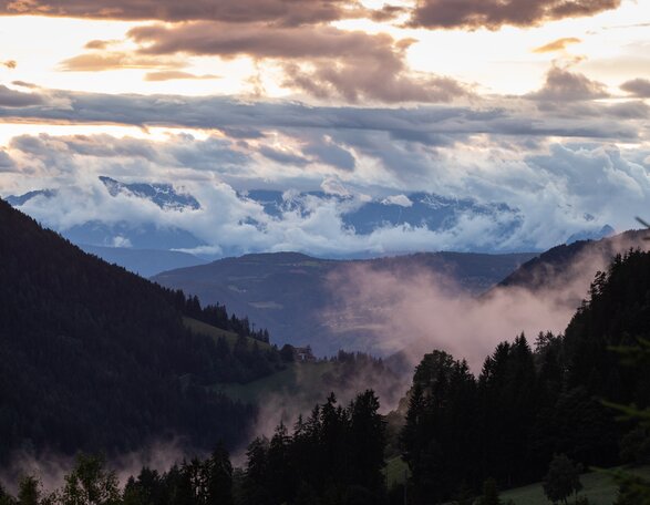 Dämmerung Wald Wolken Natur Sommer | © Ph. G. Pichler