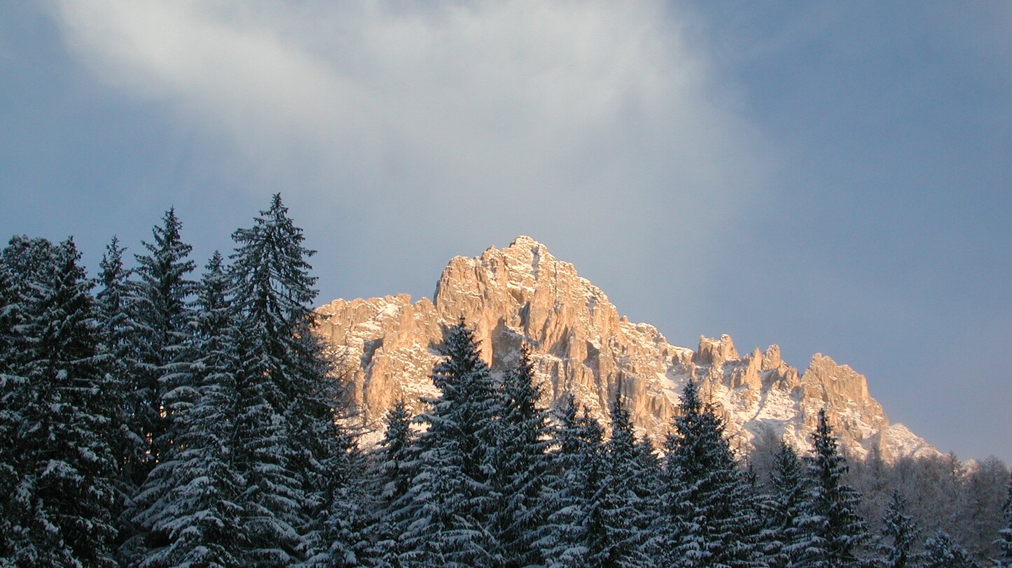 winter snow forest mountain | © Ph. Obereggen AG