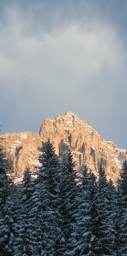 winter snow forest mountain | © Ph. Obereggen AG