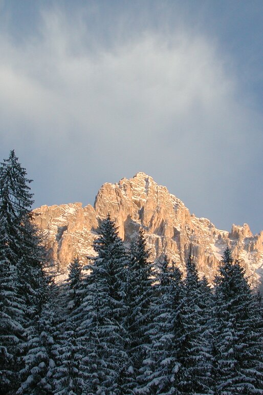 inverno neve foresta montagna | © Ph. Obereggen AG