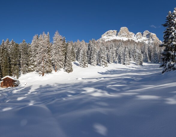 hut snow mountains forst winter | © Ph. G. Pichler