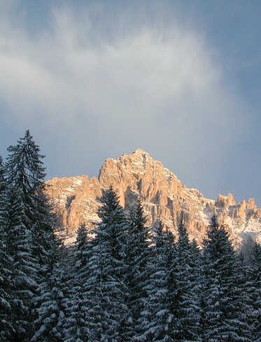 inverno neve foresta montagna | © Ph. Obereggen AG