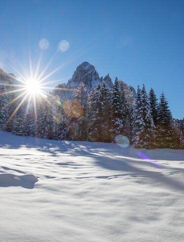 Schnee Winter Wald Berge Sonne | © Ph. Günther Pichler