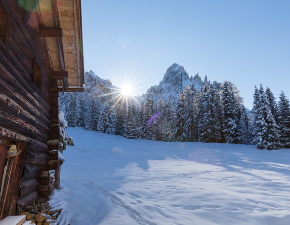 hut mountains snow forest nature | © Ph. Günther Pichler