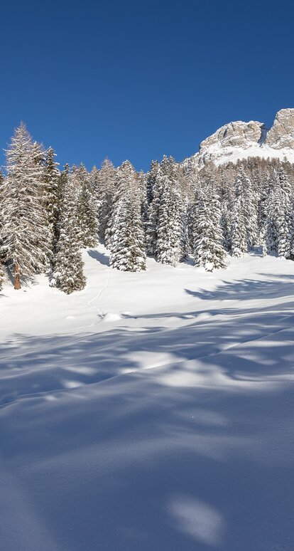 capanna neve montagne foresta inverno | © Ph. G. Pichler