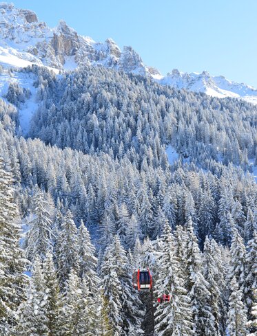 forest mountains cable car snow | © Ph. Thomas Ondertoller
